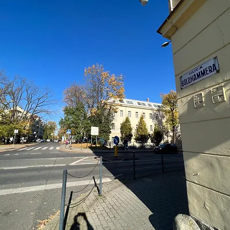 Goldhammer Premium *