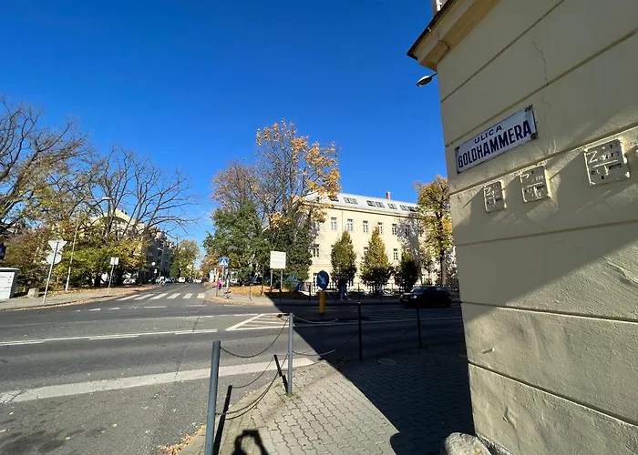 Goldhammer Premium *